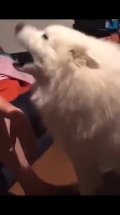 woof