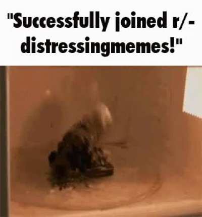 "Successfully joined r/distressingmemes!"