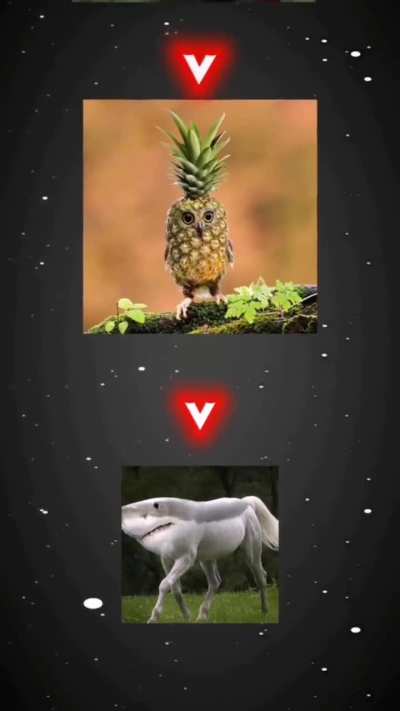 🗿
