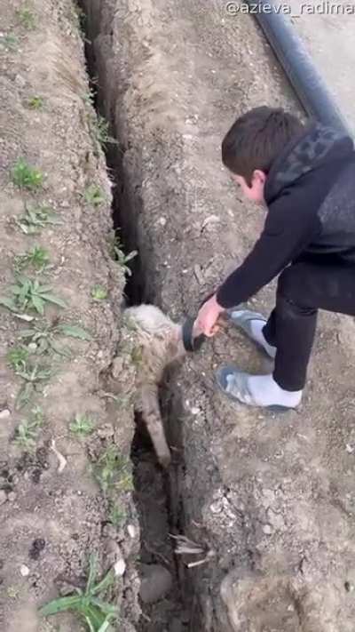 Well… Shit
