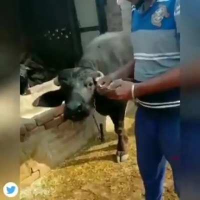 No title needed.