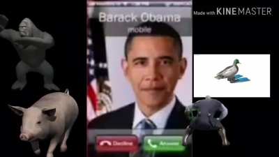 WHAT OBAMA CALLING?!?!?!?!?!? ماذالولماذالولماذاماذالولماذالولماذالولماذالولماذالولماذالولماذالولماذالولماذالول