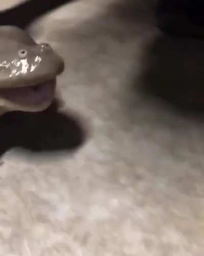 Turn sound on