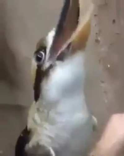 Sound on