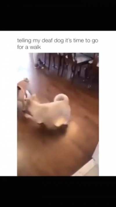 The excited jump &amp;lt;3