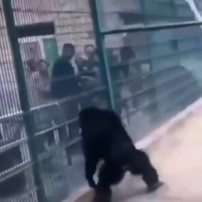 Monke