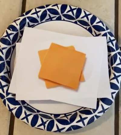 And they say you can&rsquo;t eat good in a bear market 🤣🐕🧡