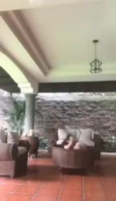 Tsamina mina, eh eh...