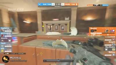Mozzie P10 Ace