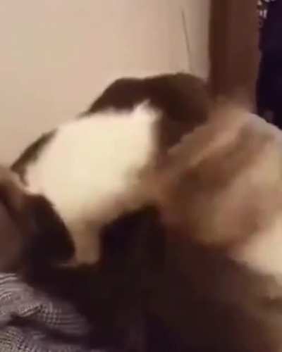 Lemme get a taste of that