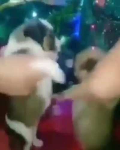 catJAM