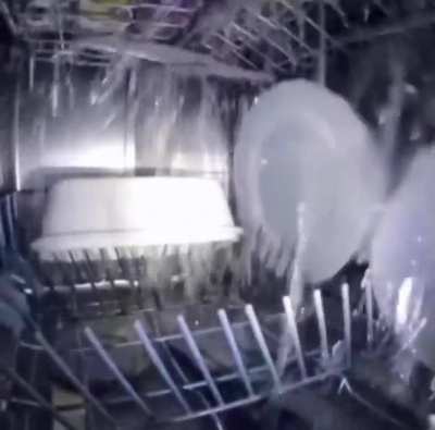 Weird Dishes