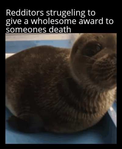 Im sorry for what ill have to do