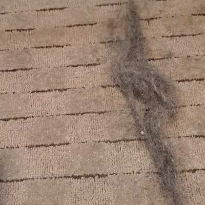 A carpet rake will change your life.