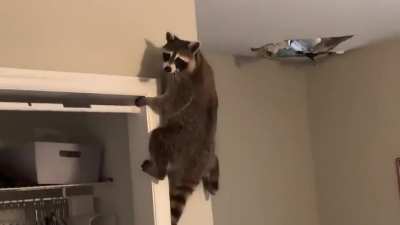 Yup that&rsquo;s me. You&rsquo;re probably wondering how i ended up in this situation&hellip;