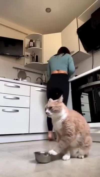 Cat food protest,Mom ignored með¾