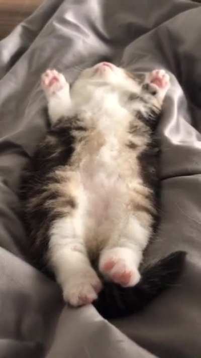 Wiggly legs while dreaming
