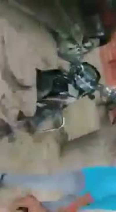 average fight in up. yes you are right this is desi Katta