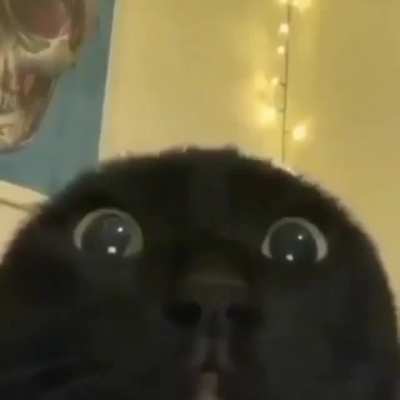 &bull;__&bull;
