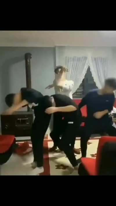 netflix dizileri olur gibi