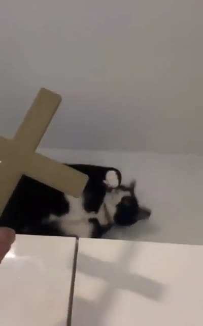 Christian greebles