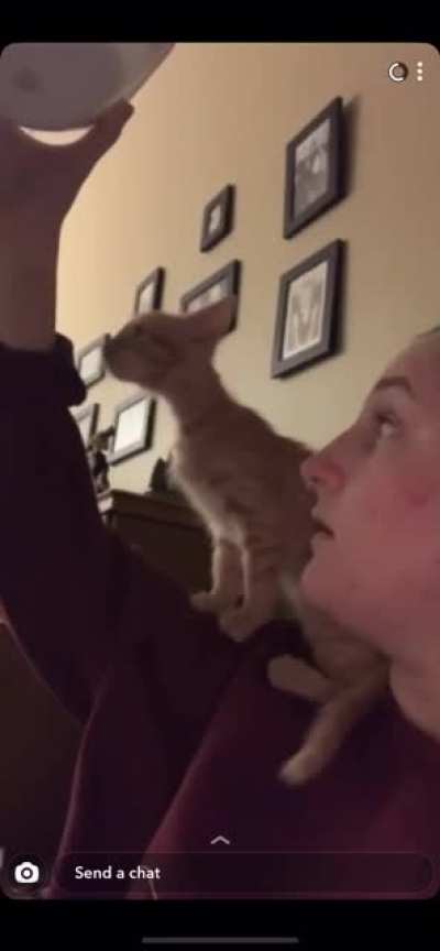 My brother&rsquo;s girlfriend fosters kittens, and this one loves to scream.