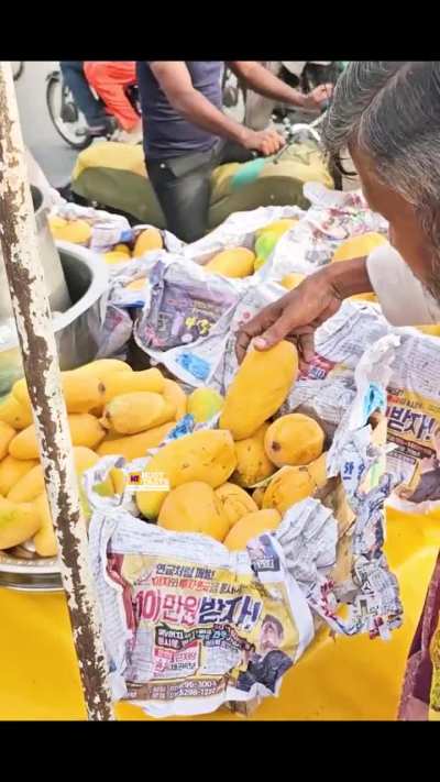 King of Mangoes Alphonso and Chaunsa