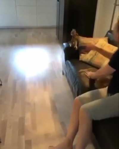 What a jump