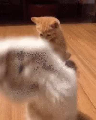 Learning to c&aring;tt&oslash;ę.