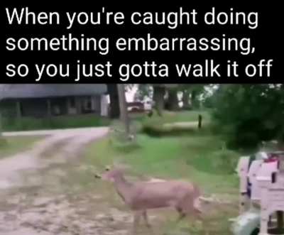 You saw naaaathing