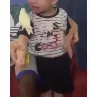 poor parrot
