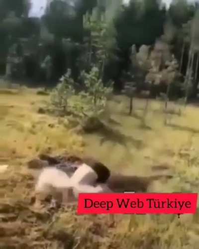 Adam kayboldu lan
