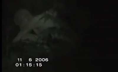 cursed_man in the forest