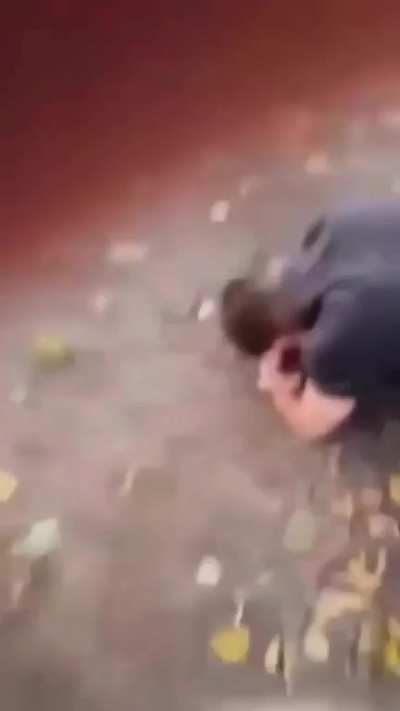 To abuse a grandma.