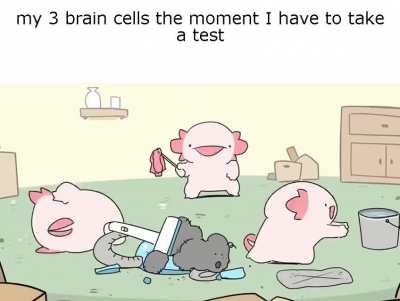 me_irl