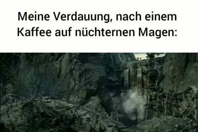 Ich🌳iel