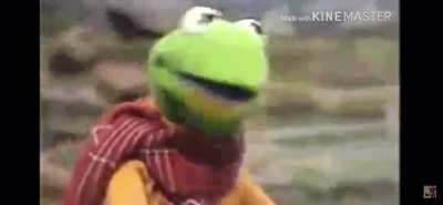 Kermit&rsquo;s death caught on camera