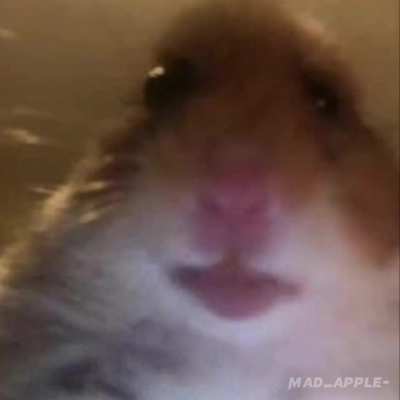 .................