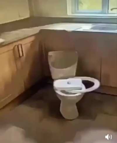 tolet