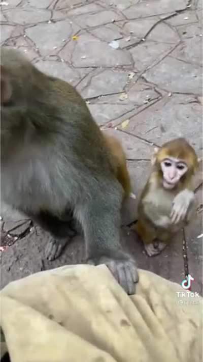 Monkey moment!!!!!!