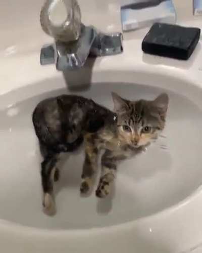 Сломанный кот