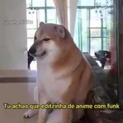 editizinha