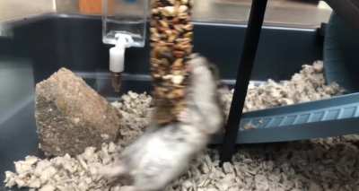 Clumsy girl