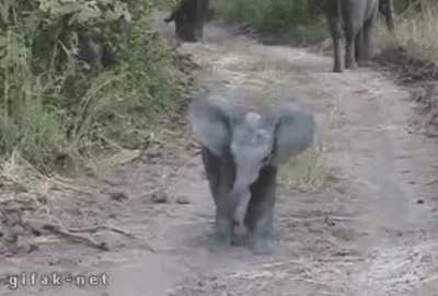 Boop...got u... hahahaha...