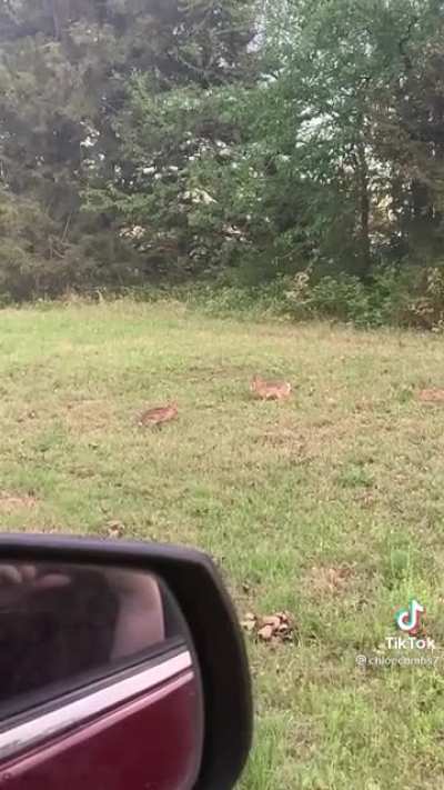 He can&rsquo;t be touched