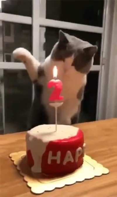 Maybe Maybe Maybe