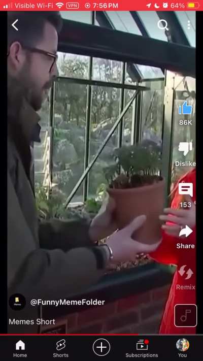 Pretty plant pattern
