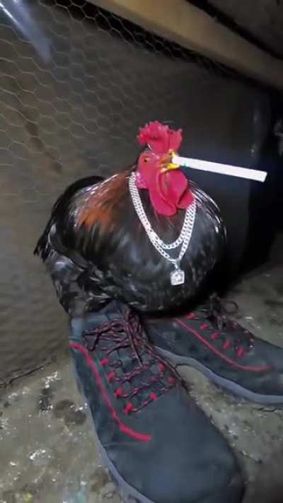WOW