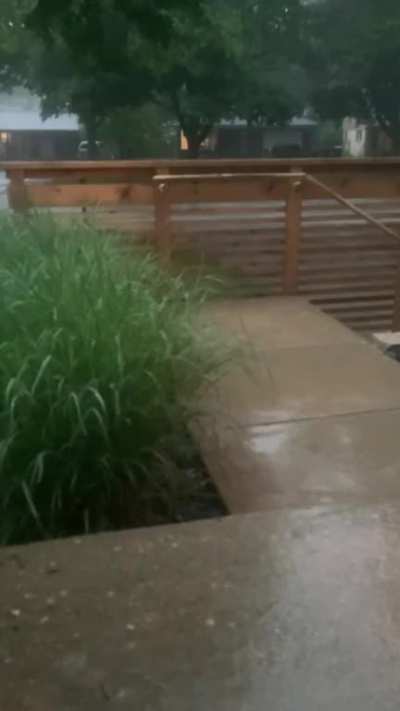 Summer thunderstorms are the best