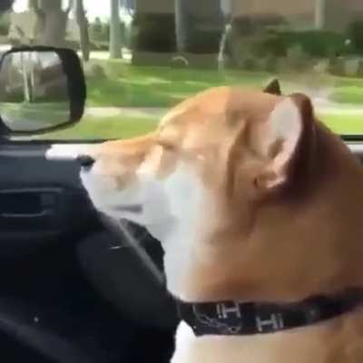vibe_irl